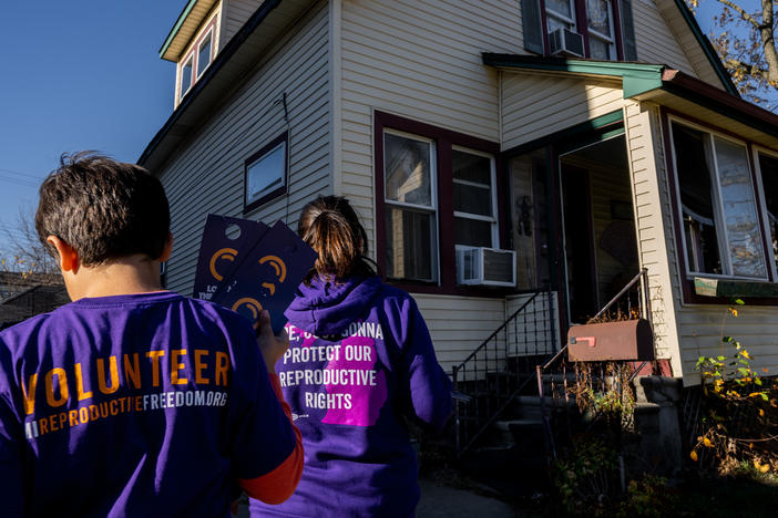 Sandra Bucciero and her son Luke canvass for Proposal 3 last weekend in Dearborn, Mich. Voters approved the amendment protecting abortion rights.