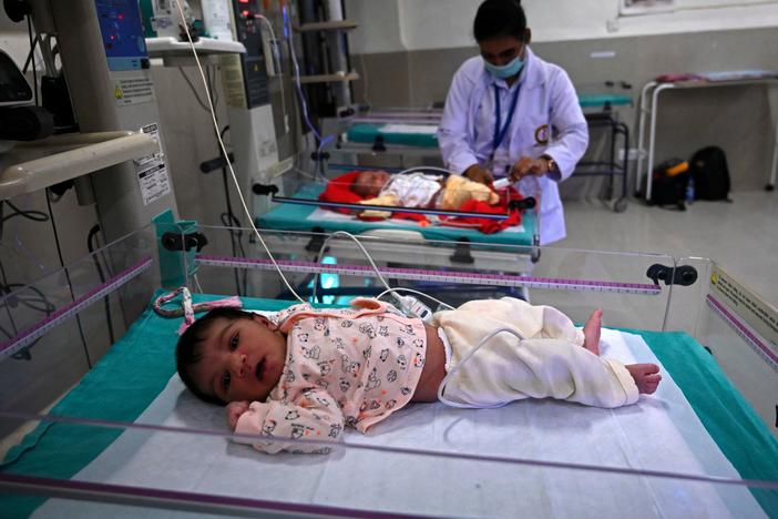 The population of Earth will hit 8 billion on Nov. 15, according to predictions by the United Nations Population Fund. And next year, India is expected to surpass China as the most populous country. In this photo, taken on Oct. 13, newborn babies rest inside a newborn care unit at a hospital in Amritsar.