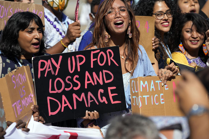 Climate activists at the United Nations climate conference in Egypt call for money to pay for loss and damage from global warming in low-income countries.