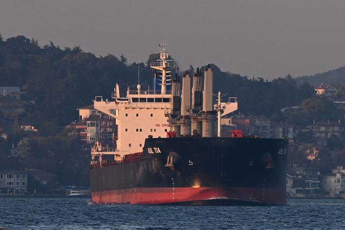 Asl Tia, a cargo vessel carrying Ukrainian grain, sails on Bosporus to Marmara sea, in Istanbul, on Nov. 2.