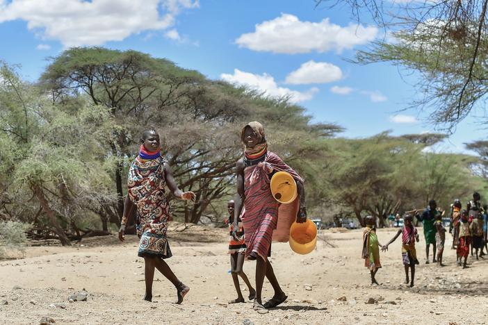 Numerous failed rainy seasons in the Horn of Africa have decimated crops and livestock, leading to a crisis of hunger.