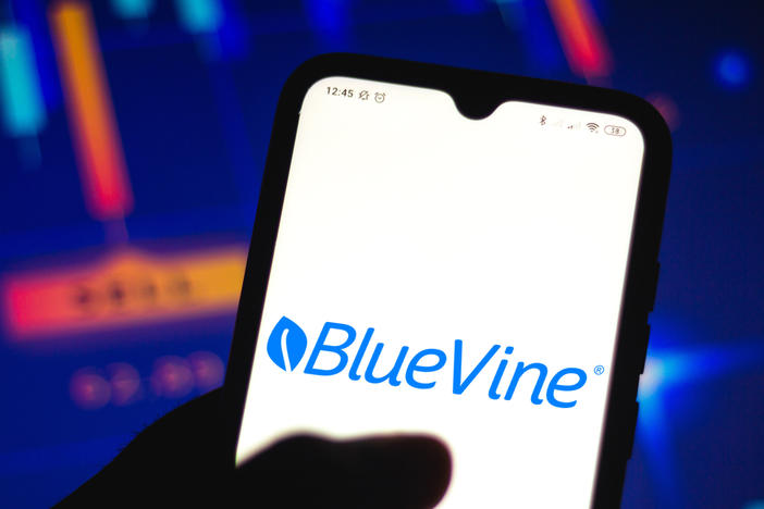 A congressional report found financial technology companies, or fintechs, largely fueled PPP loan fraud. Bluevine, a fintech noted in the report, told NPR it adapted to threats of fraud better than other companies mentioned.