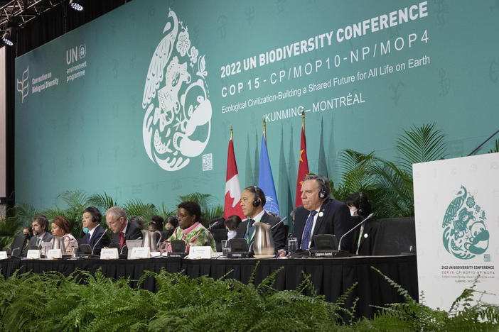 The head table gets set to open the high level segment at the COP15 biodiversity conference in Montreal on Dec. 15, 2022.