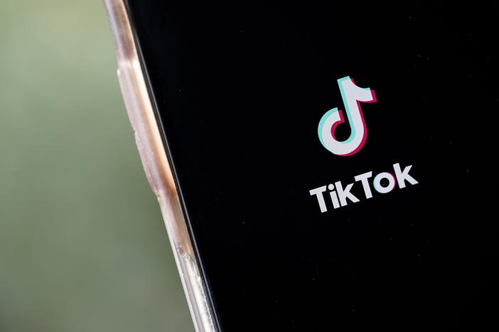 Bans on the social media app TikTok are beginning to gain momentum in Washington and several states. Experts say there's not much solid evidence that TikTok poses a national security threat.