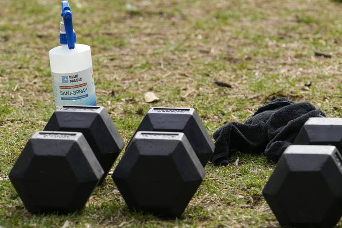 A bottle of disinfectant sits by gym equipment in a park in the eastern suburbs of Sydney Tuesday, Sept. 14, 2021. Personal trainers turned a waterfront park at Sydney's Rushcutters Bay into an outdoor gym to get around pandemic lockdown restrictions.