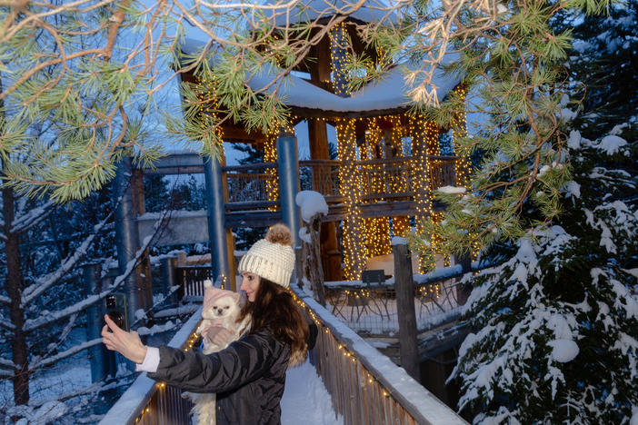 Kris Ruby and her dog Ezra enjoy the holiday lights displayed at the Wild Center in the Adirondack Mountains in Tupper Lake, NY.