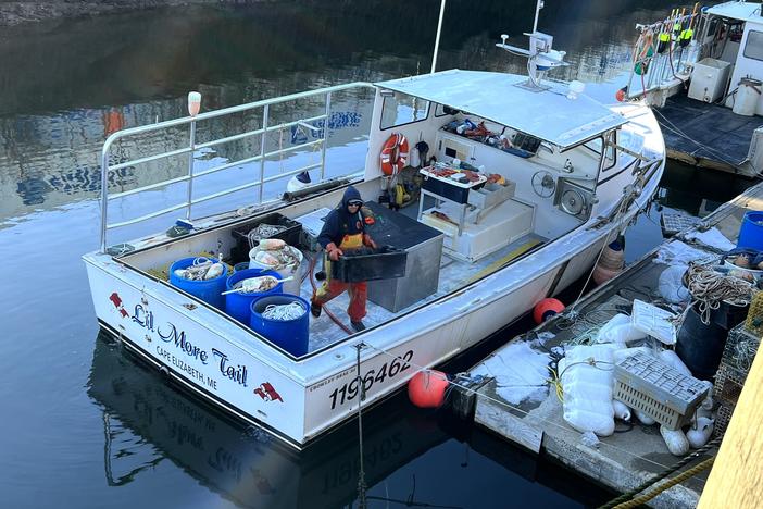 The lobster fishing industry in Maine caught more than 100 million pounds of the crustaceans in 2021 valued at more than $725 million.