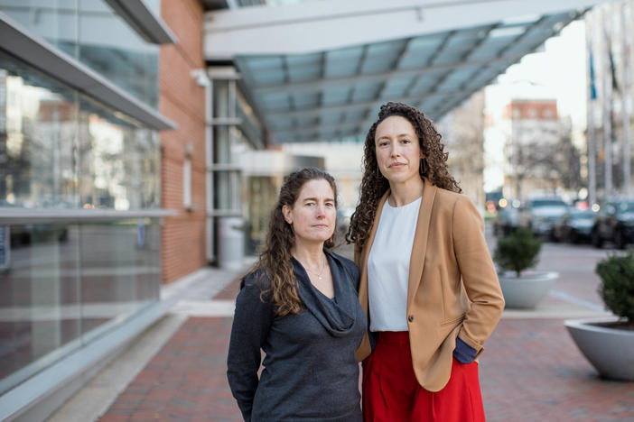 Dr. Sarah Prager and Dr. Kelly Quinley work together for the nonprofit TEAMM, Training, Education and Advocacy in Miscarriage Management, which operates on the premise that "many people experience miscarriage before they're established with an OBGYN."