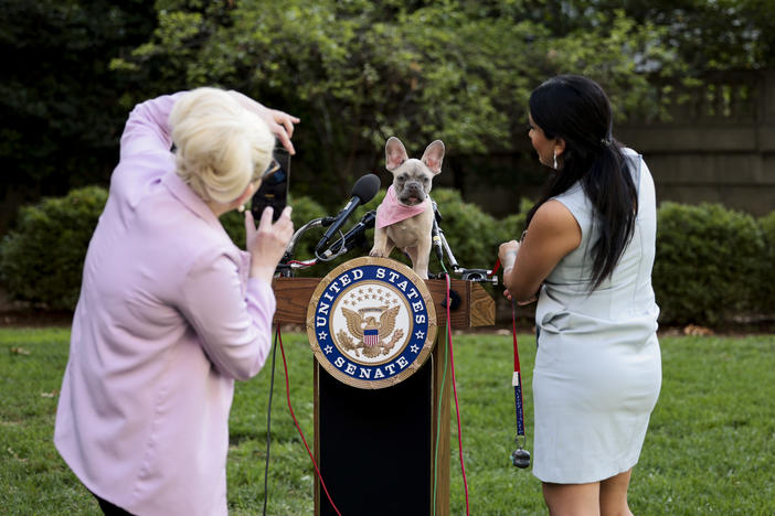 A staff member for Sen. Rand Paul takes photos of her puppy, Jefferson, before a 2021 press conference on the FDA Modernization Act.