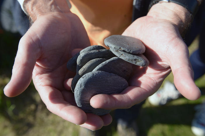 Flat, light rocks like the ones pictured above are favored for skipping stones A new study has found that heavier rocks can also skim the water's surface.