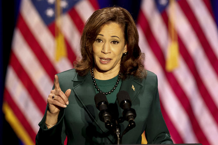 Vice President Kamala Harris speaks to mark the 50th anniversary of the 1973 US Supreme Court Roe v. Wade decision, in Tallahassee, Fla., on Saturday.
