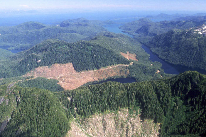 This 1990 aerial file photo shows a section of the Tongass National Forest in Alaska that has patches of bare land where clear-cutting has occurred. The federal government plans to reinstate restrictions on road-building and logging on the country's largest national forest.