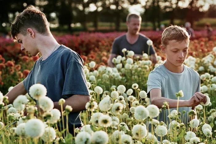 Rémi (Gustav De Waele) and Léo (Eden Dambrine) are childhood friends who begin to pull apart from each other in the Belgian film <em>Close</em>.