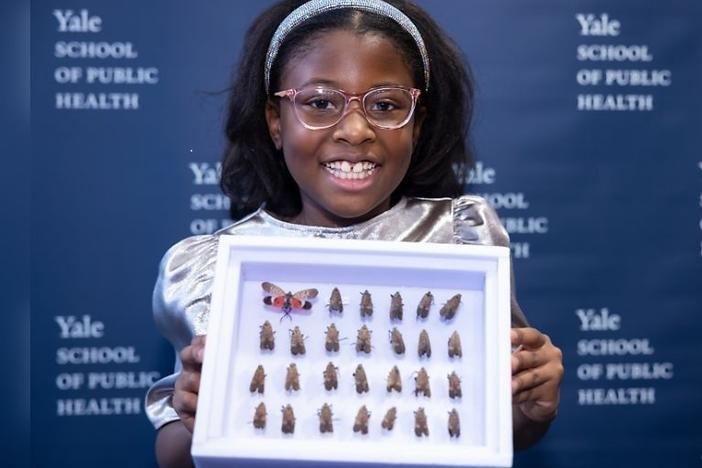 Bobbi Wilson holds her collection of spotted lanternflies as she is honored at the Yale School of Public Health on Jan. 20.