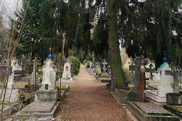 A wooded alley in the Russian Orthodox cemetery in Sainte-Geneviève-des-Bois, France.