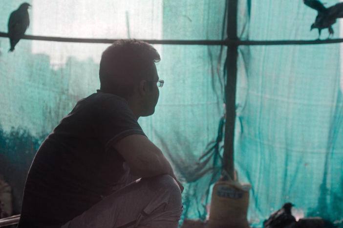 Mohammad Saud cares for black kite birds in Delhi, India, in the documentary <em>All That Breathes.</em>