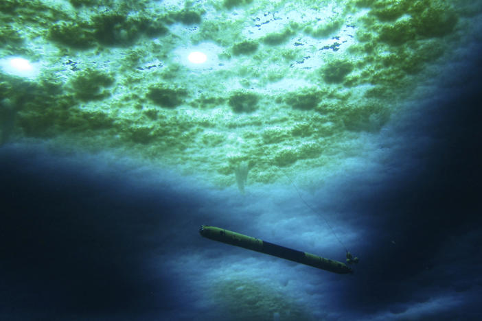 A robot nicknamed Icefin operates under the sea ice near McMurdo Station in Antarctica in 2020. The pencil-shaped robot is giving scientists their first look at the forces eating away at the Thwaites glacier.