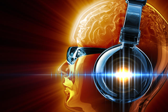New York University researchers led by Pascal Wallisch, a professor at the University's Center for Data Science, investigated why people love and hate different music and found that they typically know if they like a song within seconds of listening.