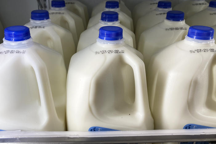 Milk is displayed at a grocery store in Philadelphia, Tuesday, July 12, 2022. Food and Drug Administration officials issued guidance that says plant-based beverages don't pretend to be from dairy animals – and that U.S. consumers aren't confused by the difference.