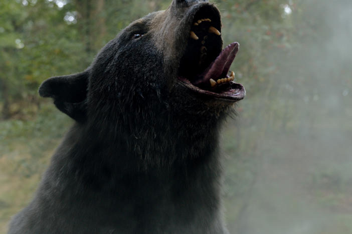 The title<em> Cocaine Bear</em> says it all, and the film delivers on that promise in 95 minutes.