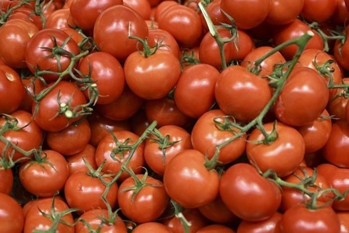 Tomato shortages in the U.K. are being blamed on bad weather, energy prices and trade policy