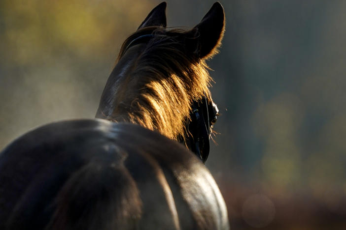 A new study of ancient human remains finds that horse riding may have been common as early as 4,500 to 5,000 years ago.