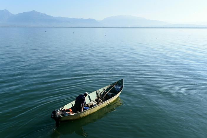 Overfishing and poaching have been detrimental to marine wildlife, including the Shkodra's lake, a body of water that straddles Albania and Montenegro, which is shown above.