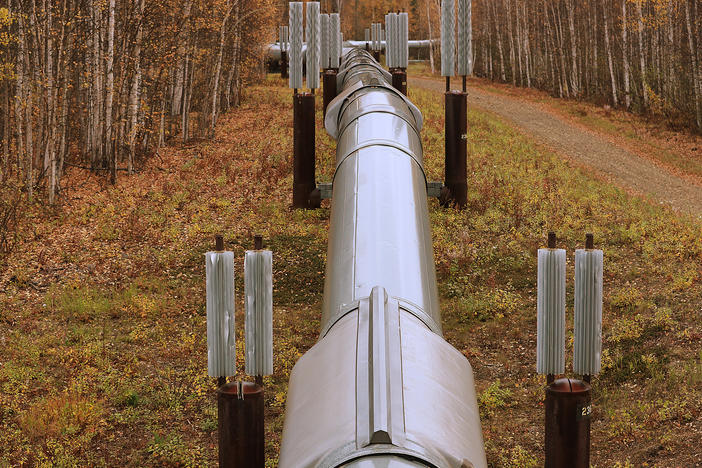 A part of the Trans Alaska Pipeline System is seen in Fairbanks, Alaska in September 2019. Environmentalists say a proposed new drilling project, the Willow Master Development Plan, would disturb Alaska's critical wildlife habitat with more surface-level oil infrastructure.