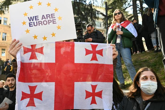 Georgian protesters rally outside the parliament as lawmakers vote to call off their controversial "foreign agent" bill in Tbilisi on Friday.