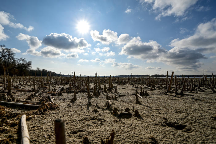 Aquatic plants and debris are exposed by the falling water levels at the Kakhovka Reservoir. Researchers say that the draining of the reservoir by Russian forces are but one example of the war's effect on Ukraine's water supply.