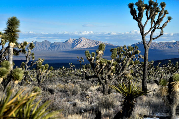 Avi Kwa Ame, also known as Spirit Mountain, as seen across the desert from an area near the Castle Mountains in February 2016. President Biden is declaring the area as a national monument.