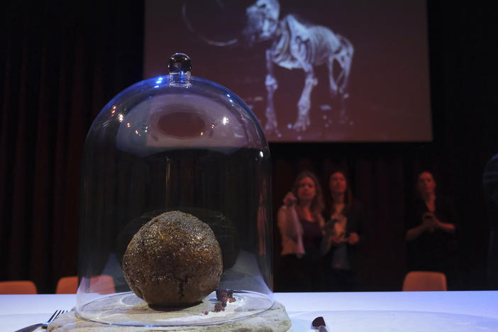 A meatball made using genetic code from the mammoth is seen at the Nemo science museum in Amsterdam on Tuesday.