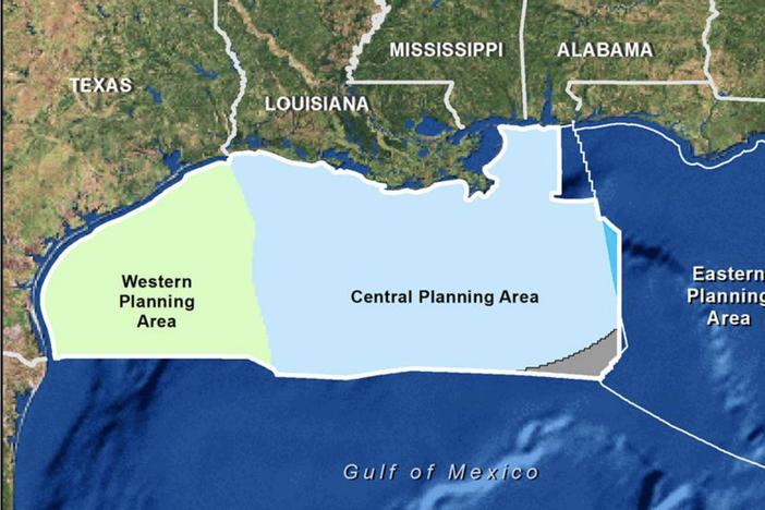 A map highlights areas where thousands of blocks of federal waters in the Gulf of Mexico were offered up in an oil and gas auction Wednesday.