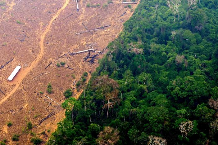 View of a deforested and burned area of the Amazon rainforest in northern Brazil on Sept. 2, 2022.