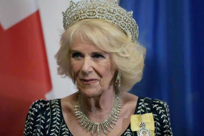 Camilla, then called the queen consort, pictured at a State Banquet in Berlin on March 29.