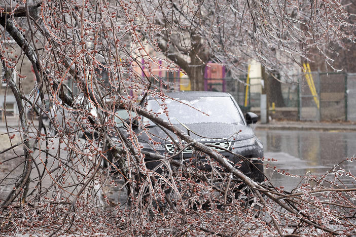Fallen tree branches are shown on a street following an accumulation of ice rain in Montreal, Wednesday, April 5, 2023.