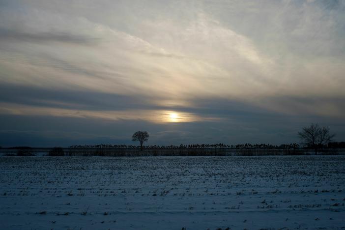 The snow-covered soya fields at the Belfontaine Holstein farm are pictured in Saint-Marc-sur-Richelieu, Quebec, on Dec. 9, 2021. Canadian Super Pigs were bred to survive the winter.