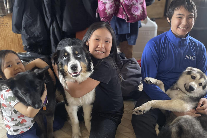 One-year-old Australian shepherd Nanuq, in the middle with Brooklyn Faith, was returned to Gambell, Alaska, on April 6 after he disappeared for a month and walked on the Bering Sea ice 150 miles to Wales, Alaska. On the left are Brooklyn Faith's sister Zoey with Starlight and on the right is brother Ty with Kujo.