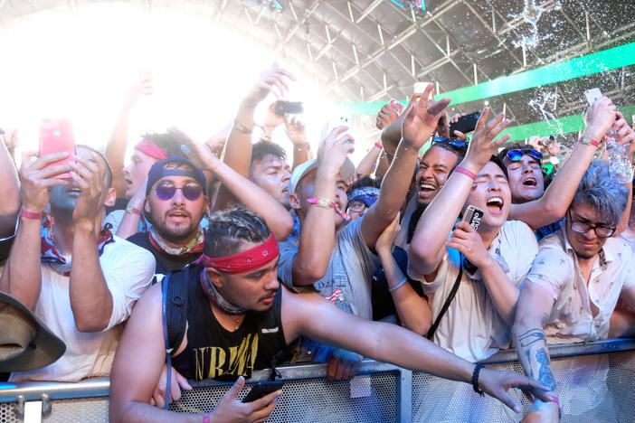 A view of the crowd at Coachella.