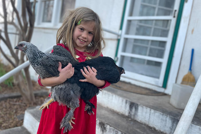 The author's daughter, Rosy, with two of the family chickens. Among Rosy's discoveries: "When the sun goes down, they all go up into the coop and go to bed. Nobody has to tell them it's bedtime."