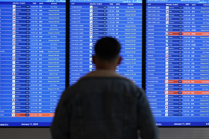 A traveler looks at a flight board with delays and cancellations at Ronald Reagan Washington National Airport in Arlington, Va., on Jan. 11, 2023.