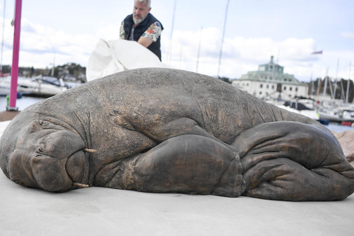 The sculpture of the walrus Freya is unveiled in Oslo, Norway, on Saturday. Freya was euthanized by the Directorate of Fisheries in August 2022.