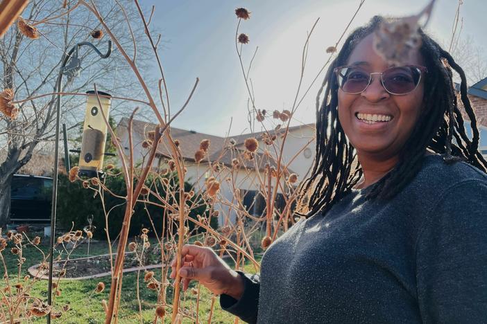 Camille Dungy leaves the dead stalks of her sunflowers standing for winter interest and the occasional bird visitor.