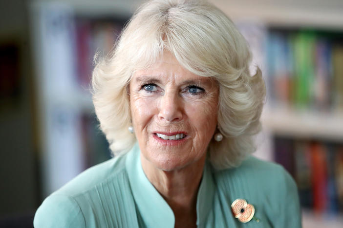 Camilla Parker Bowles' journey in the public eye has been remarkable.