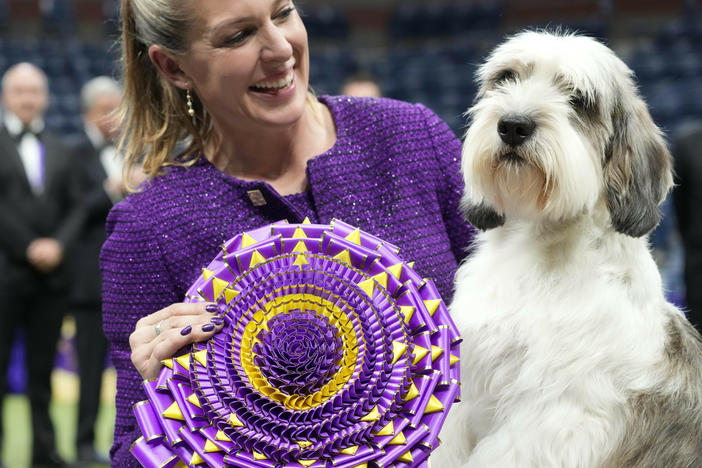 Handler Janice Hays poses for photos with Buddy Holly, a petit basset griffon Vendéen, after he won best in show during the 147th Westminster Kennel Club Dog show Tuesday, May 9, 2023, at the USTA Billie Jean King National Tennis Center in New York.