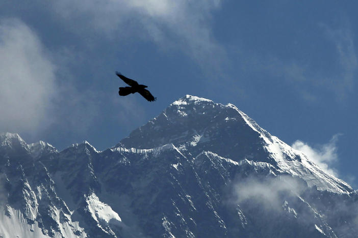 A bird flies with Mount Everest seen in the background from Namche Bajar, Solukhumbu district, Nepal, in May 2019. A Sherpa guide scaled Mount Everest on Sunday for the 26th time, matching the record set by a fellow Nepalese guide for the most ascents of the world's highest peak.