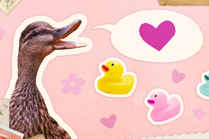Collage of a mother duck facing three rubber ducks, representing her children. A speech bubble with a heart is coming out of the mother's mouth, symbolizing the advice given by mothers to their children.