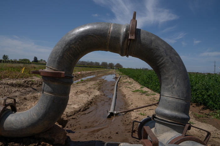 Pipes direct water into an irrigation project held by the University of California. After a few decades of not enough water California water officials are scrambling to catch as much of this year's floodwaters as they can.
