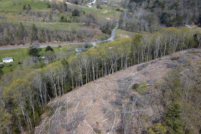 The Mountain Valley Pipeline would stretch 303 miles, from West Virginia to North Carolina. This 2018 file photo shows a section of downed trees on a ridge near homes along the pipeline's route in Lindside, W.Va.