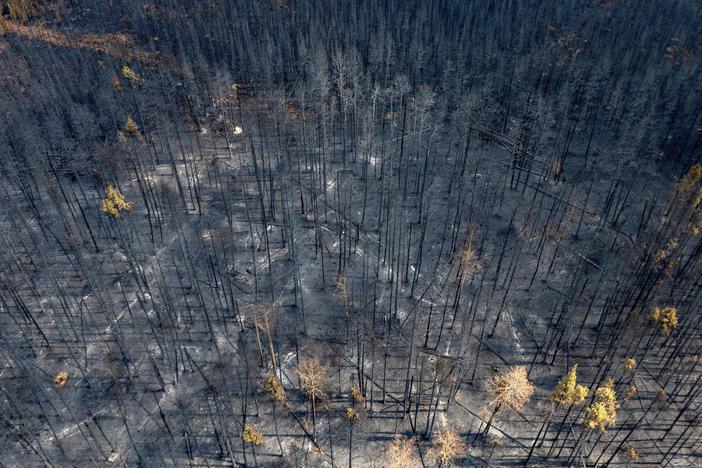 A burnt landscape caused by wildfires is pictured near Entrance, Wild Hay area, Alberta, Canada on May 10, 2023. Canada struggled on May 8, 2023, to control wildfires that have forced thousands to flee, halted oil production and razed towns, with the western province of Alberta calling for federal help.